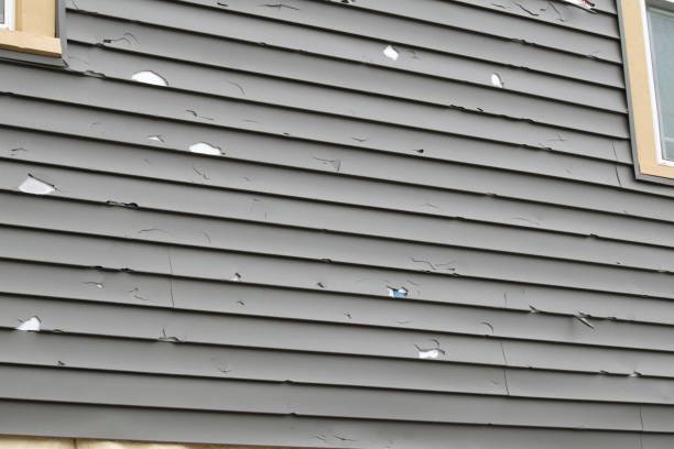 How To Choose The Right Materials for Your Siding Installation in 'Liberty Triangle, FL